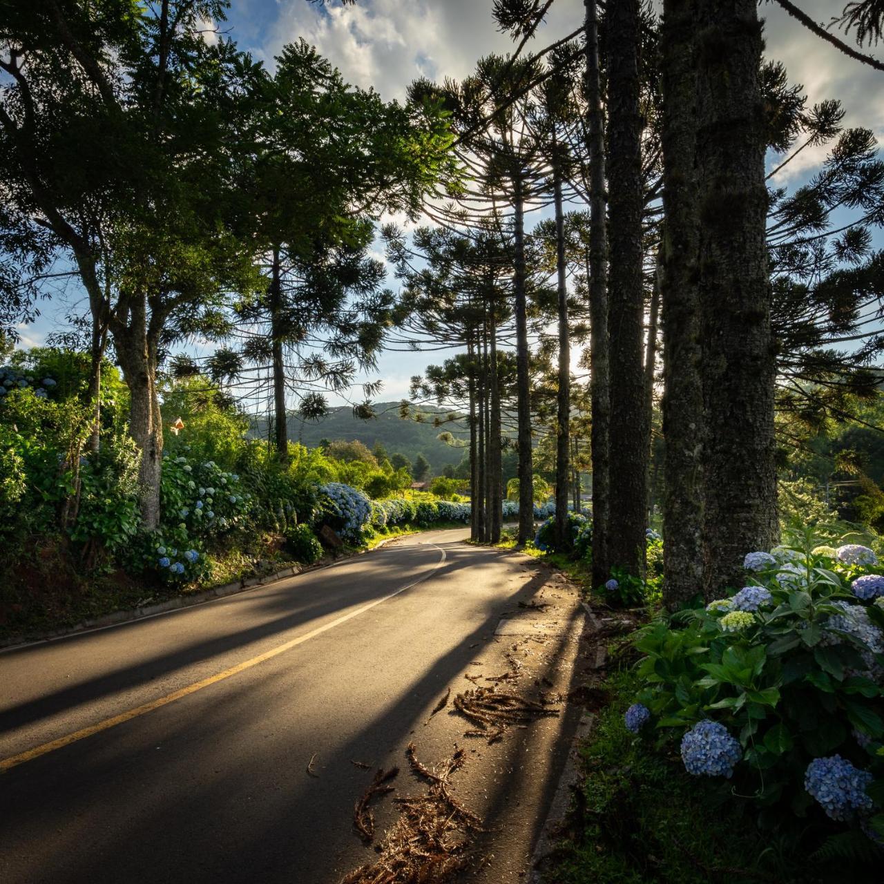 Hotel Fioreze Chales Gramado Exteriér fotografie